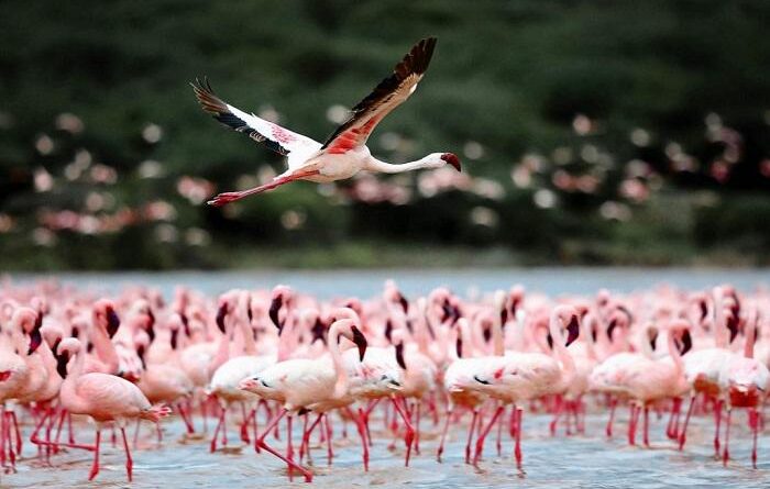 autumn-in-Azerbaijan
